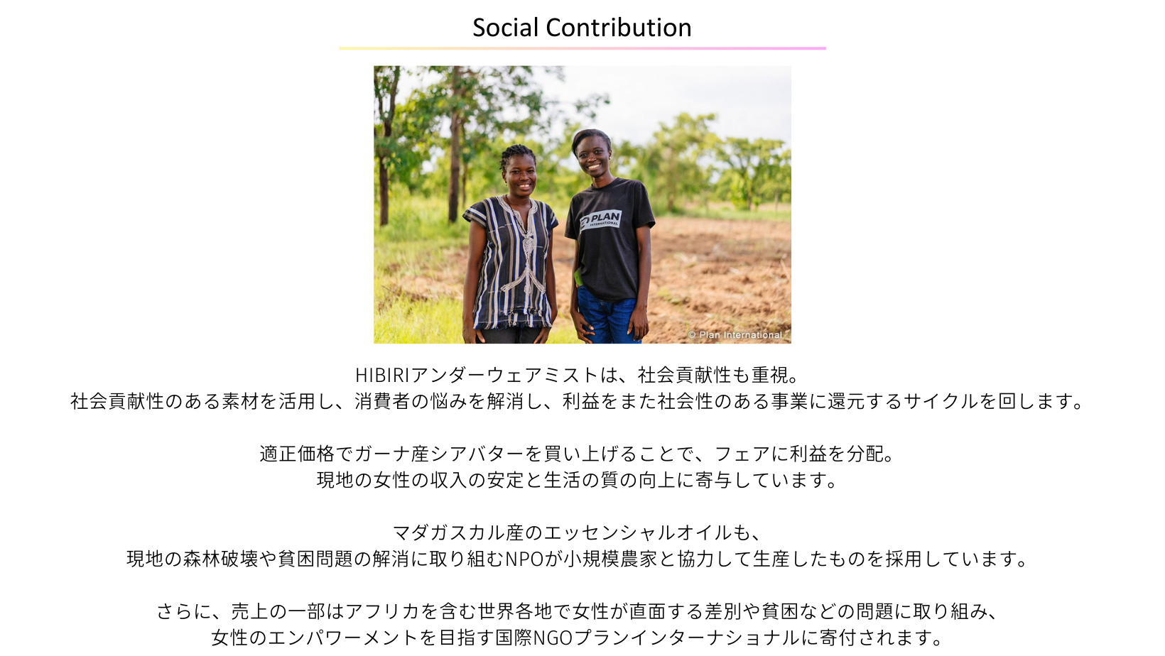 パソコン用の画像