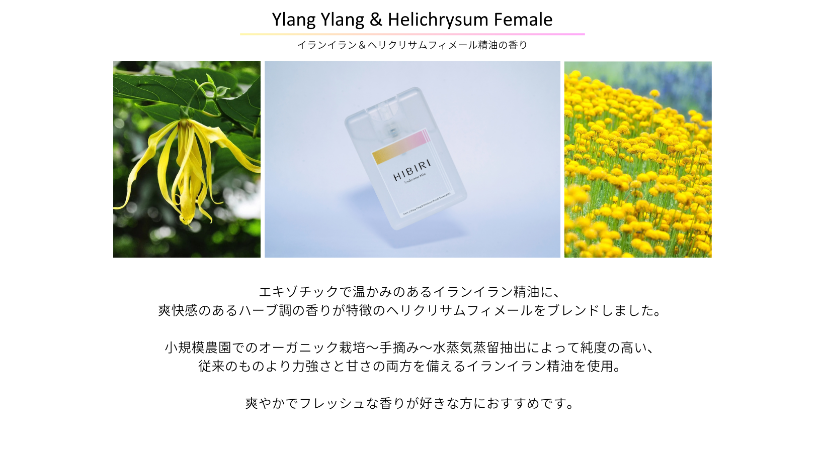 パソコン用の画像