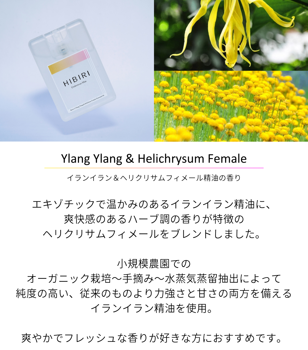 スマートフォン用の画像